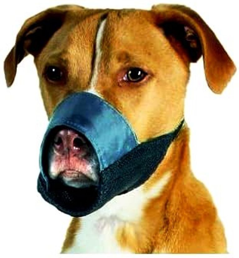 Petco Nylon Dog Muzzle – Size 2 (Medium) – Adjustable, Washable, Training & Walk
