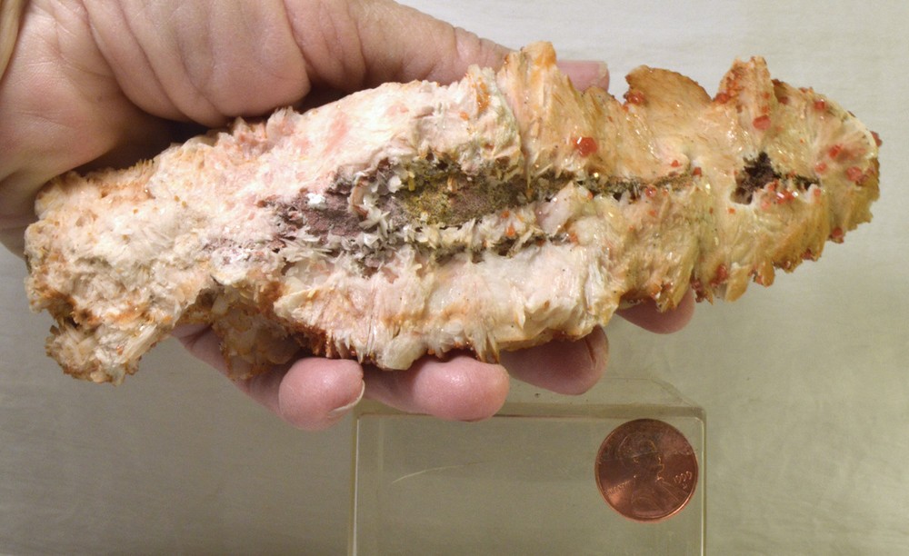#2519 Vanadinite on Barite - Morocco - Large Display piece