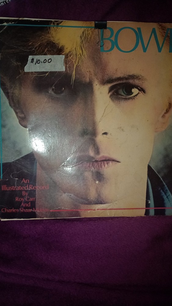 David Bowie Illustrated Book