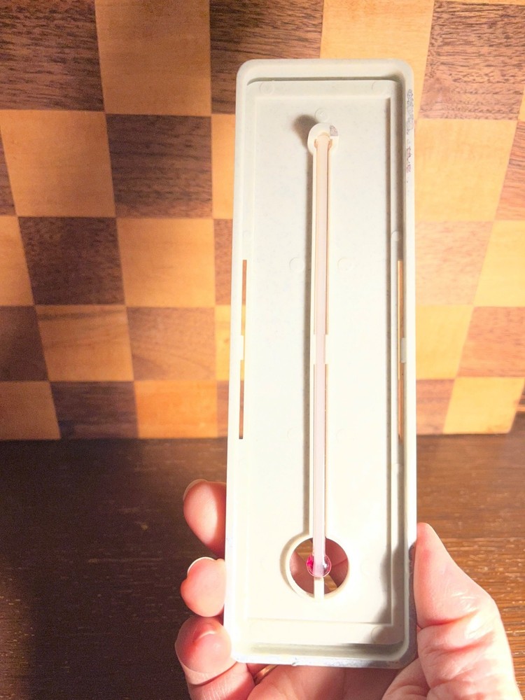 Taylor Resin Wall Thermometer
