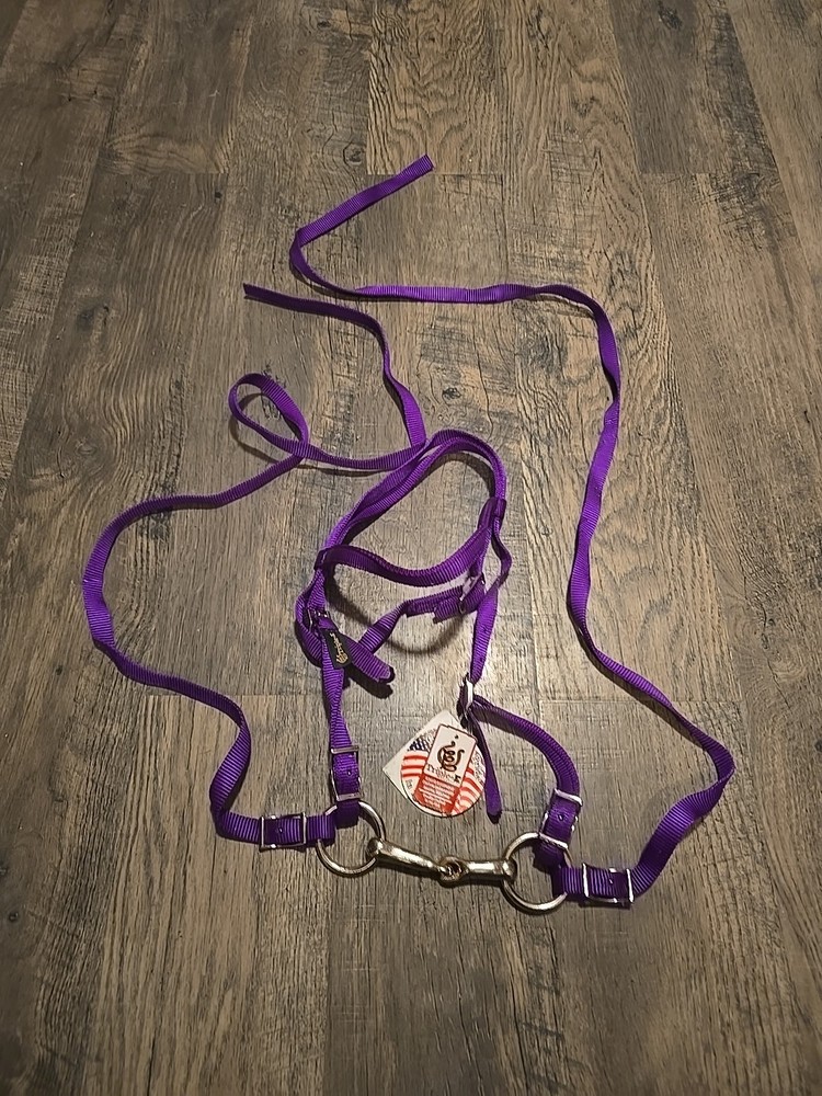 mini horse bridle