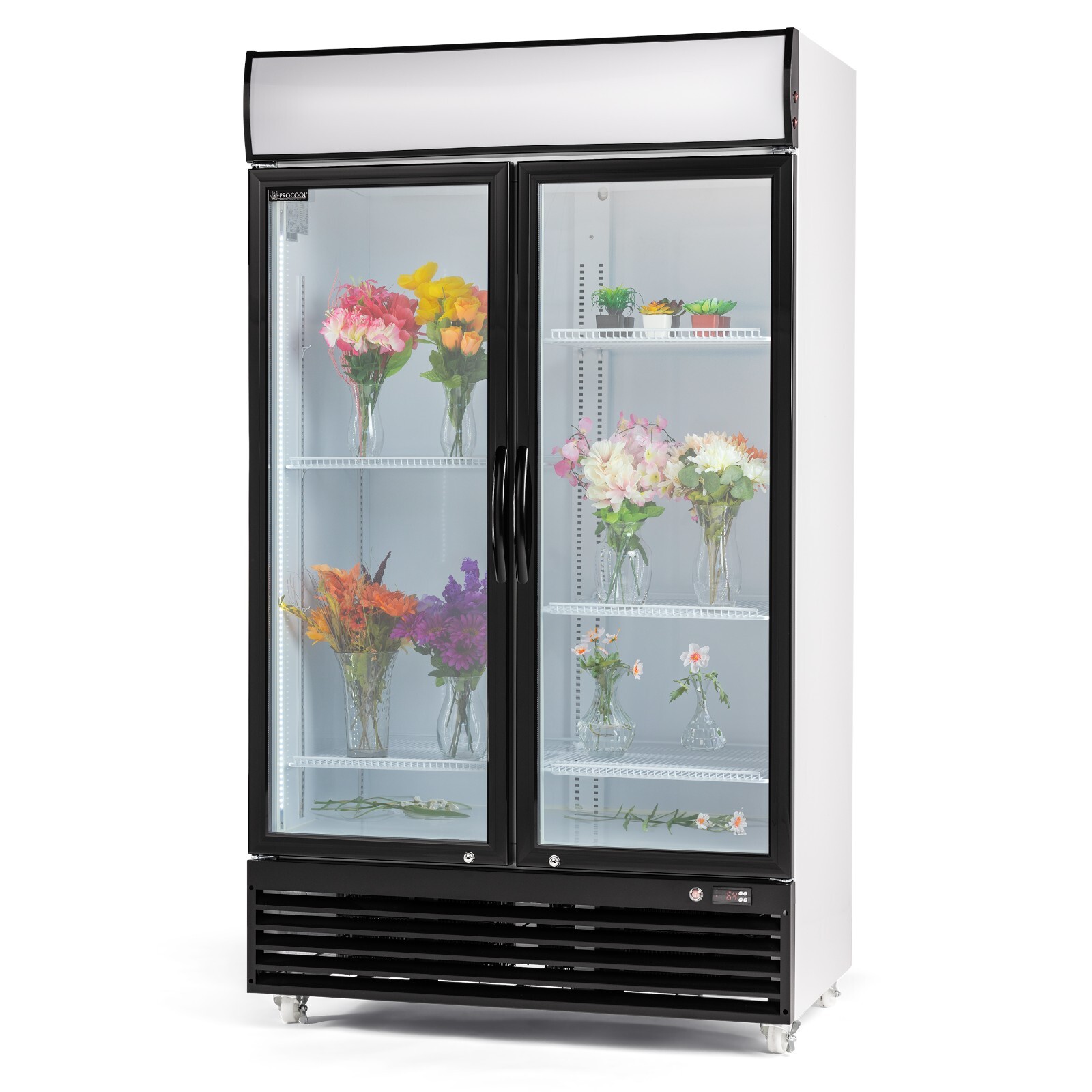 Procool CSD-1000 2 Door Display FLOWER Cooler Merchandiser Refrigerator