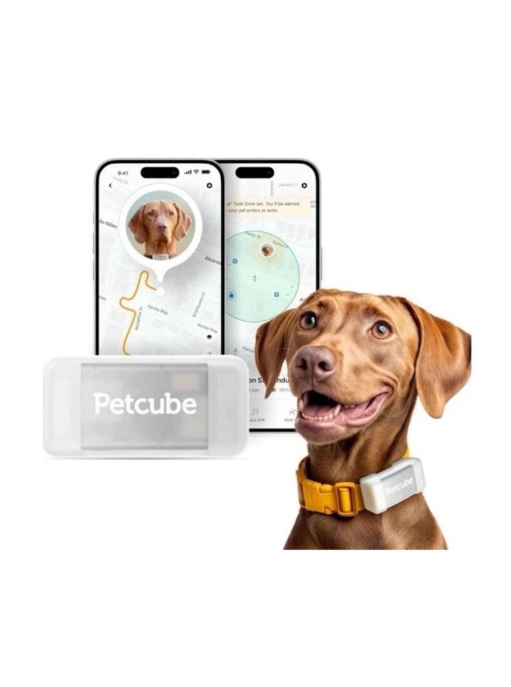 Petcube GPS Dog Tracker
