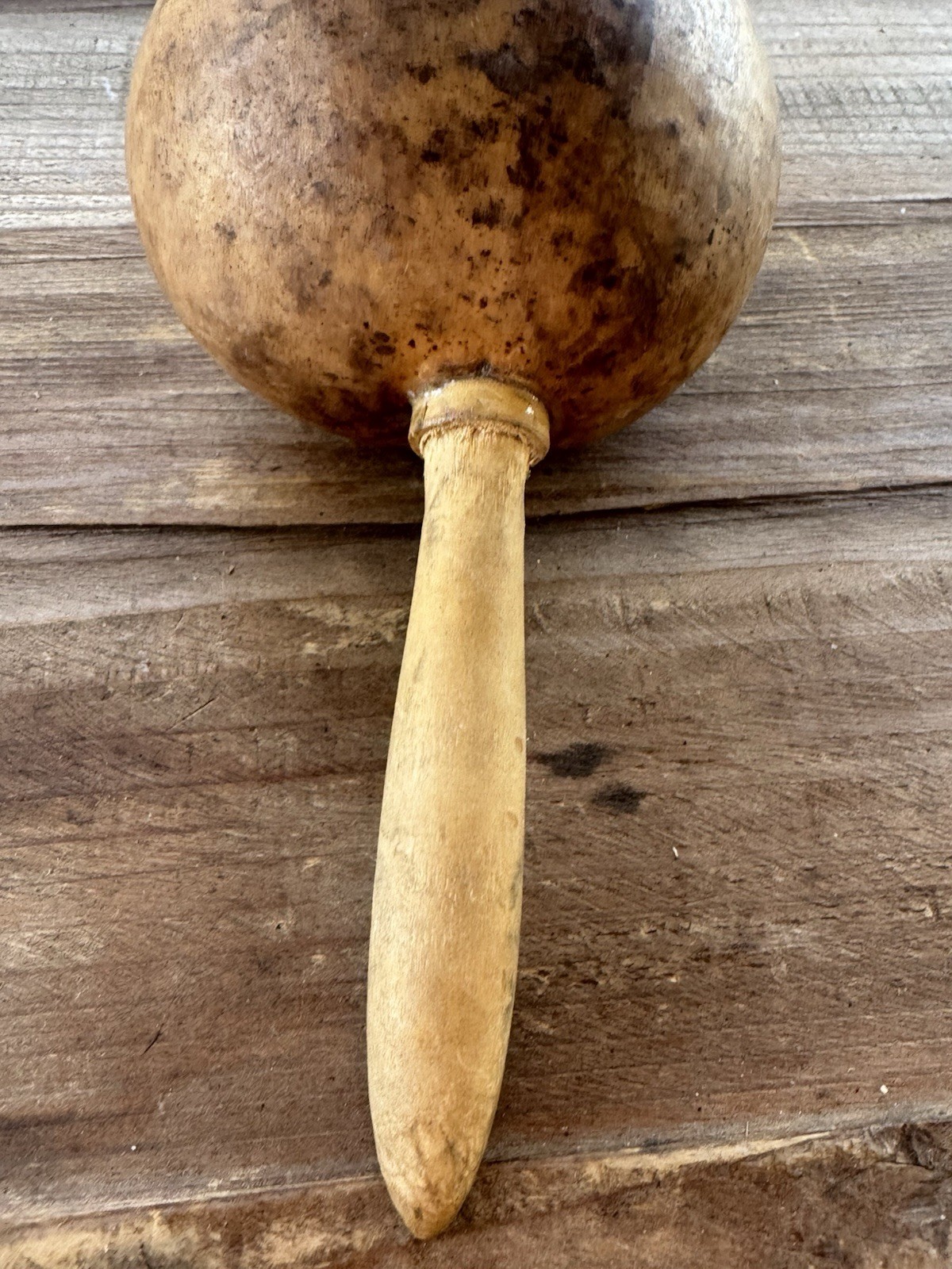 Vintage Decorated Gourd Rattle Turtle Design Folk Art Handcrafted