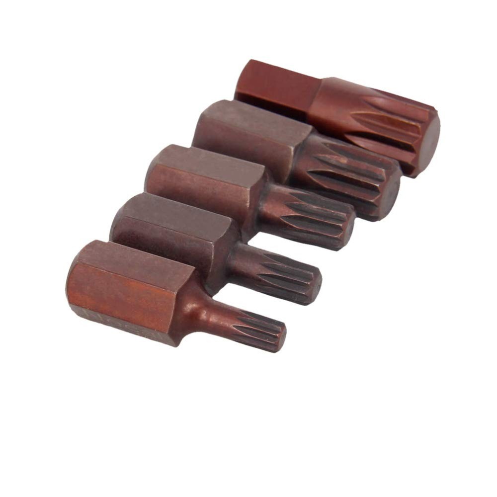 Torx Screwdriver Bits, 5 Piece Set 12 Point Spline Head Screw Driver Bit, wit...