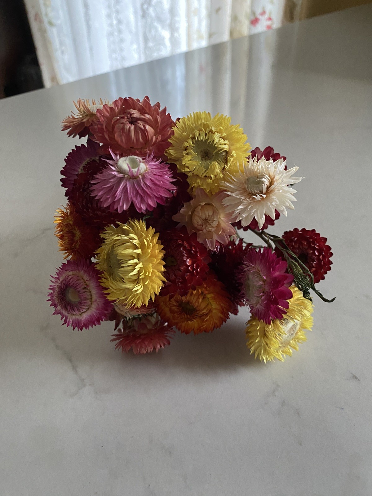 Beautiful STRAWFLOWERS Assorted Bunch BOUQUET Bundle DRIED Flowers USA Auc#3