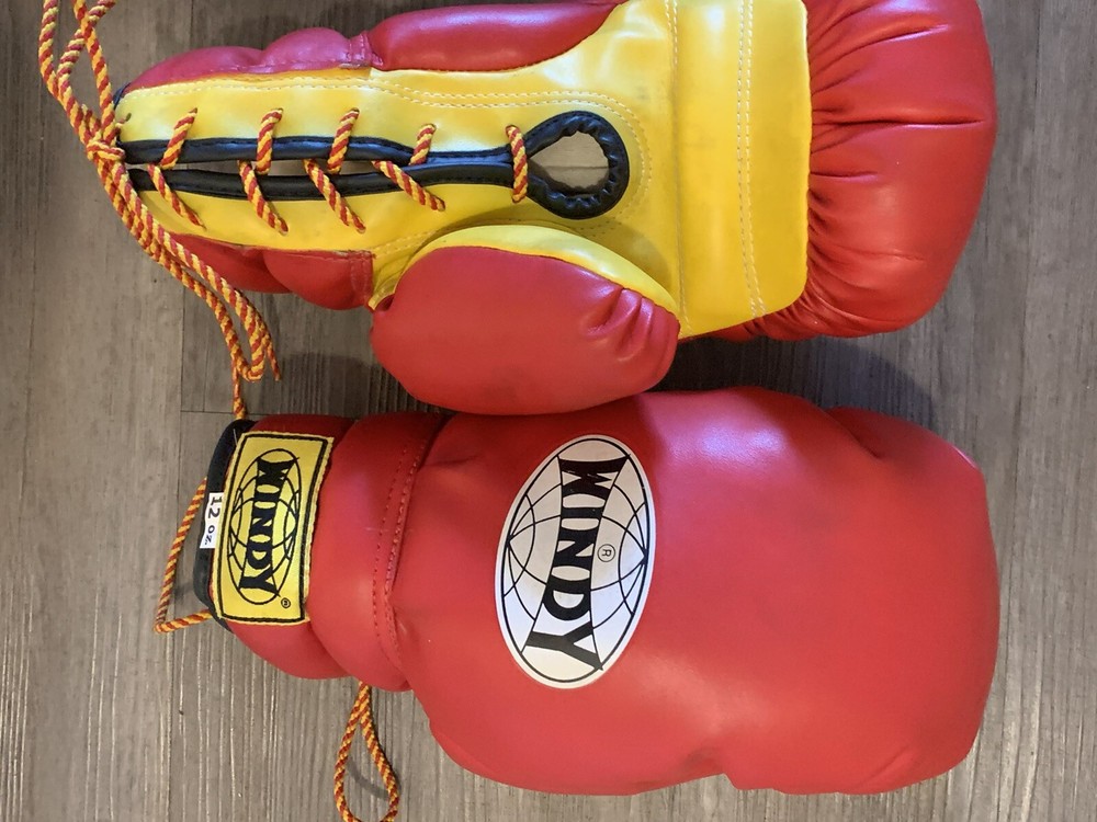 12 oz windy boxing gloves