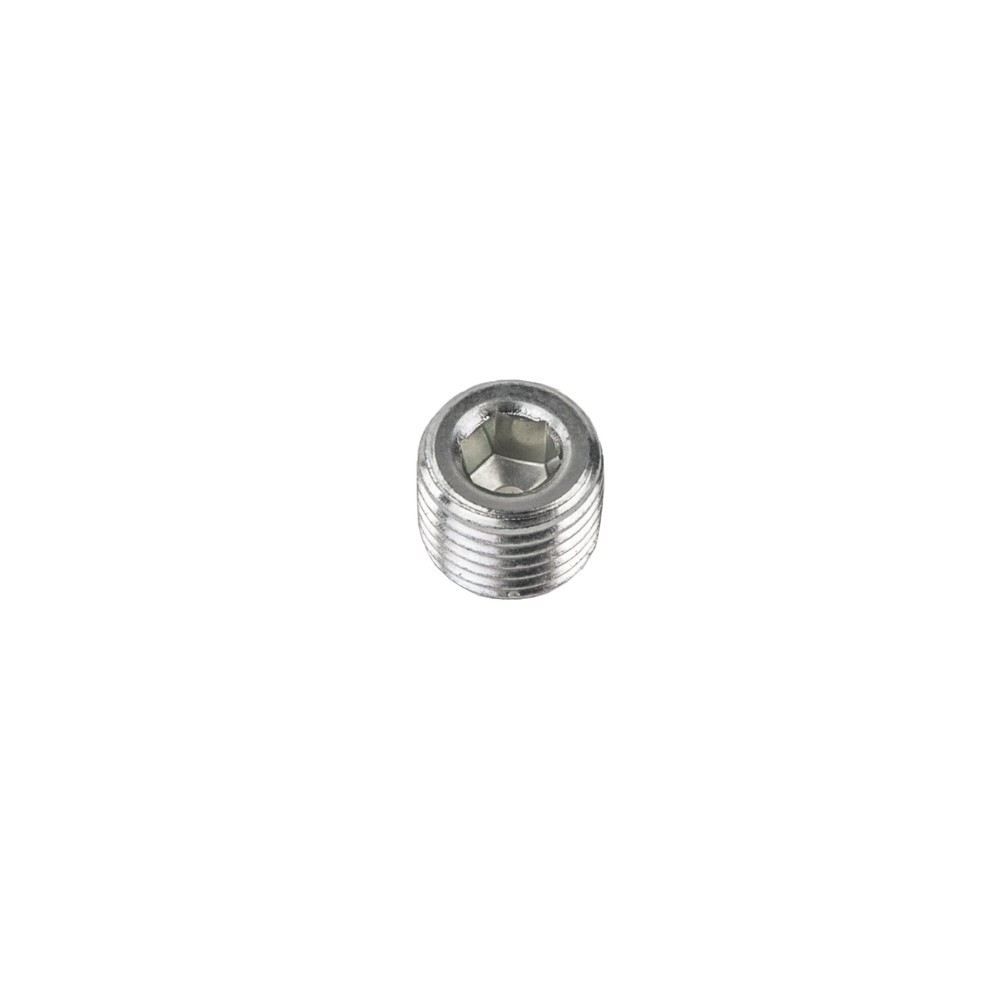 1/4 NPT PLUG