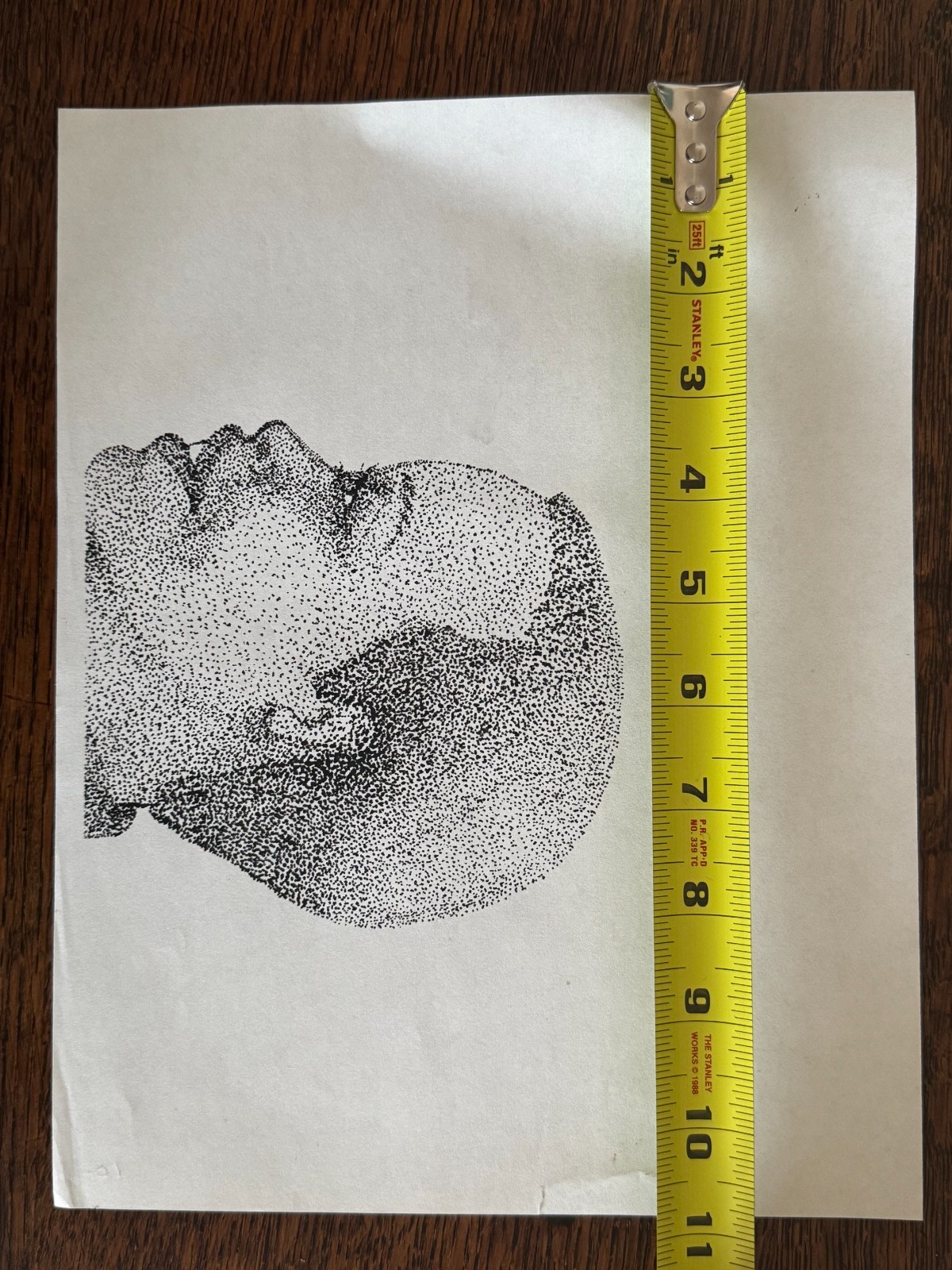 Original Pointillism Young African-American Woman Pen Portrait Drawing 8.5"x11"