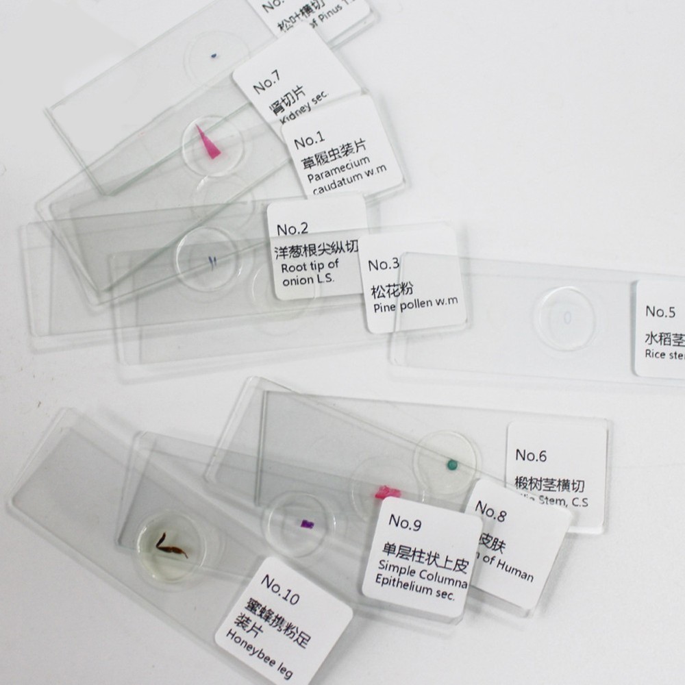 10 PCS/Set Glass Slides Microscope Preparation Kit Calibration Lab