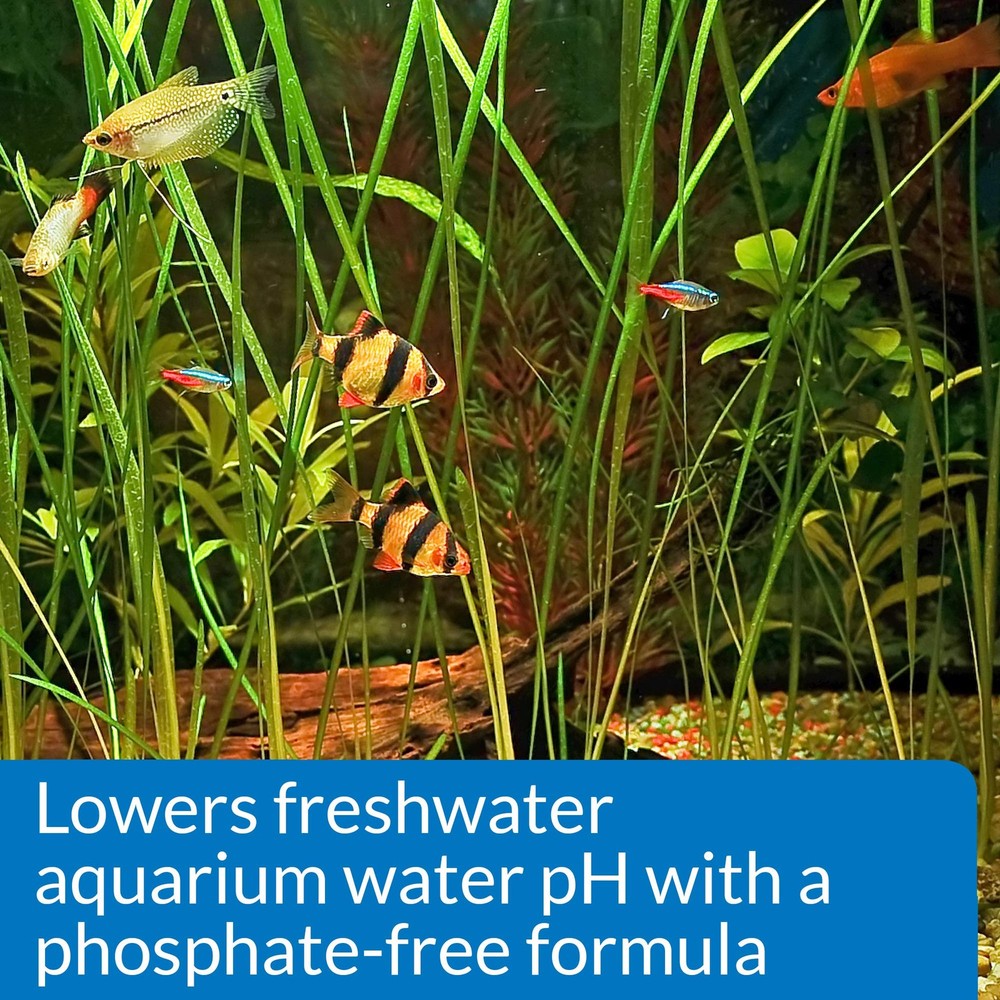 API pH DOWN Freshwater Aquarium Water Reducing Solution 4 oz, Multi