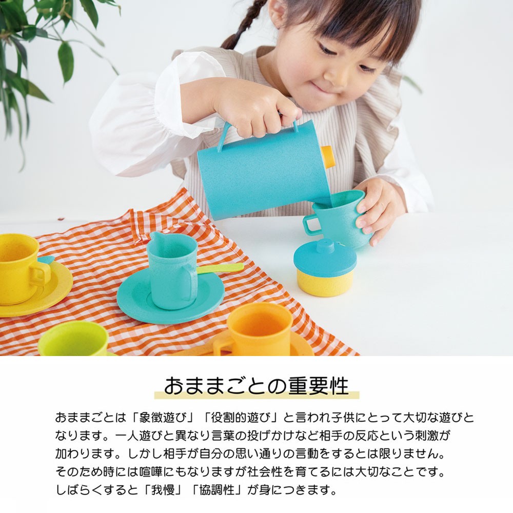 Picnic Party Set