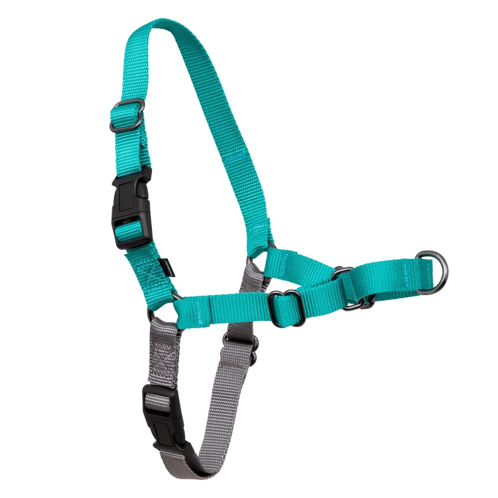 PetSafe Easy Walk Harness Medium Teal/Gray