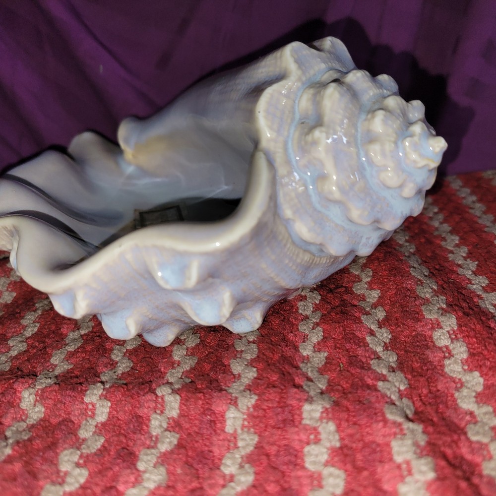 Croscill Conch Shell Soap Dish Holder AMAZING Plz Read