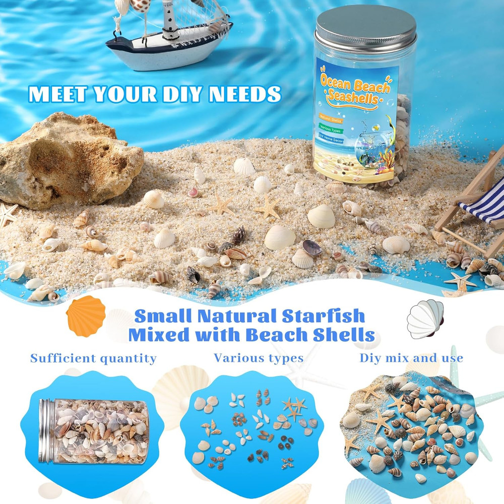 1200 Pcs Tiny Sea Shells, Seashells for Crafts with Small Shells Starfish Mixed