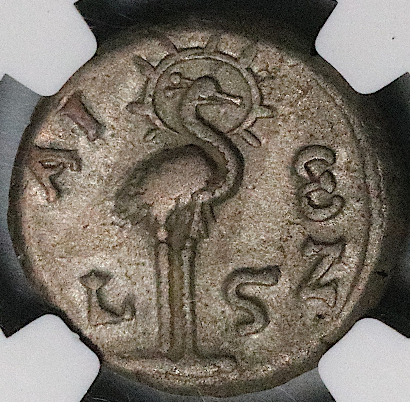 142 NGC VF Antoninus Pius Egypt Alexandria Phoenix Sothic Cycle Roman (26010703C
