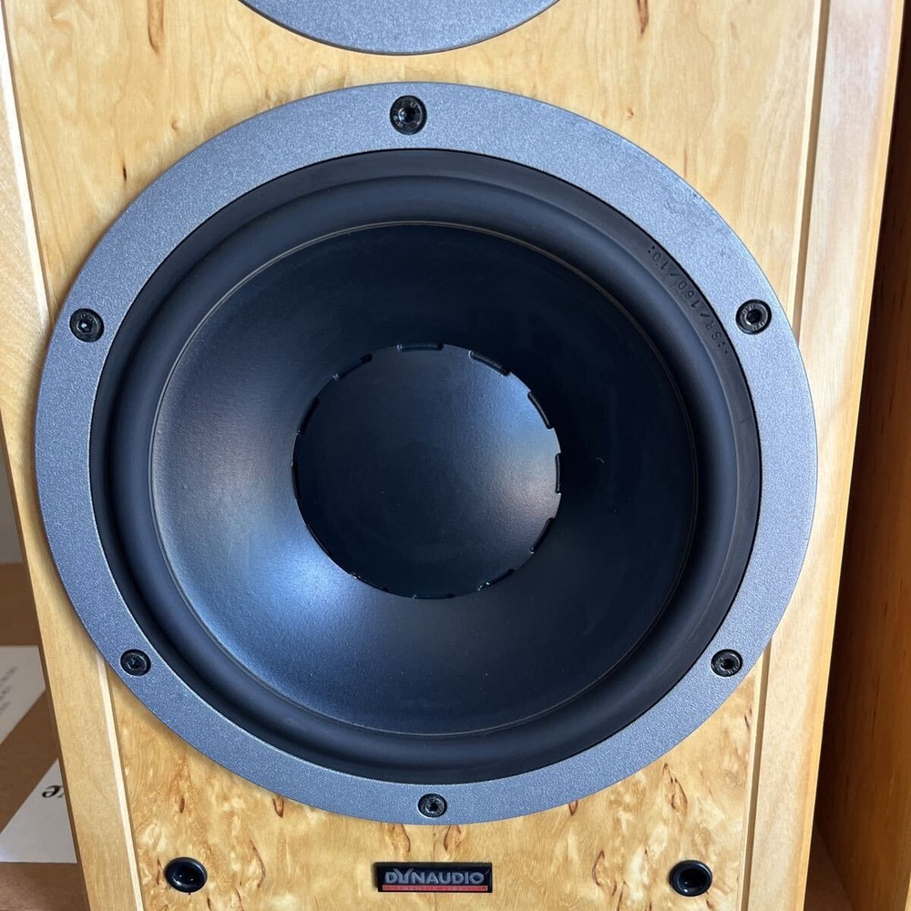 DYNAUDIO SP25 speakers