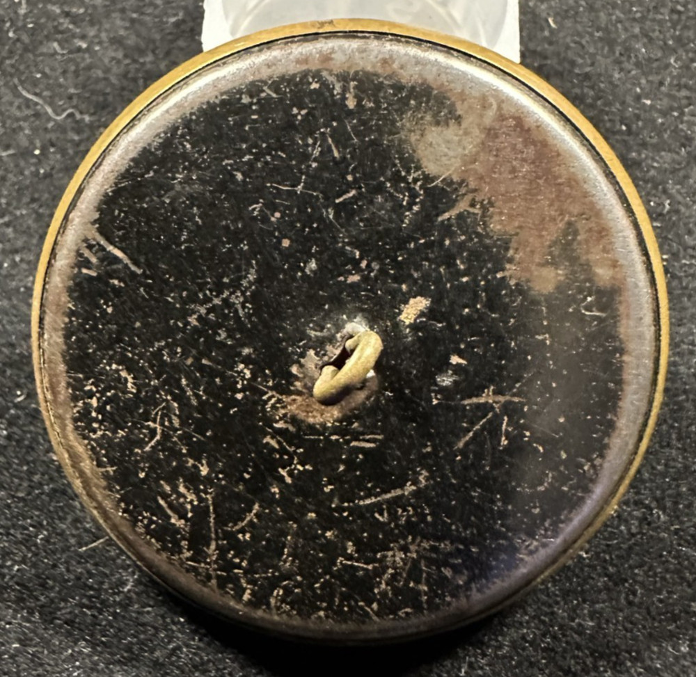 Victorian Tortoise Shell Celluloid Antique Brass Button 1.7 Inch Diameter
