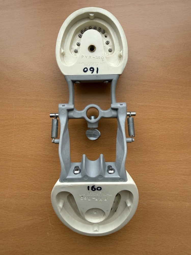 Columbia Dental Dentoform Model 760