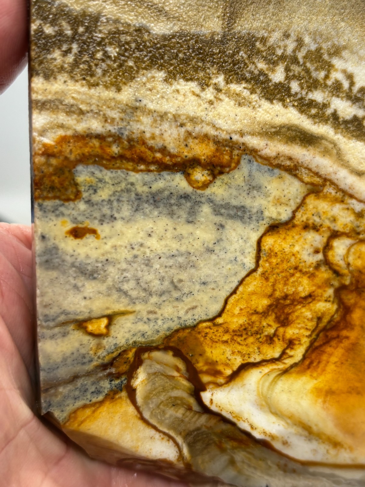 Disaster Peak Picture Jasper Slab Cabbing Lapidary Collecting Combo Ship Avail