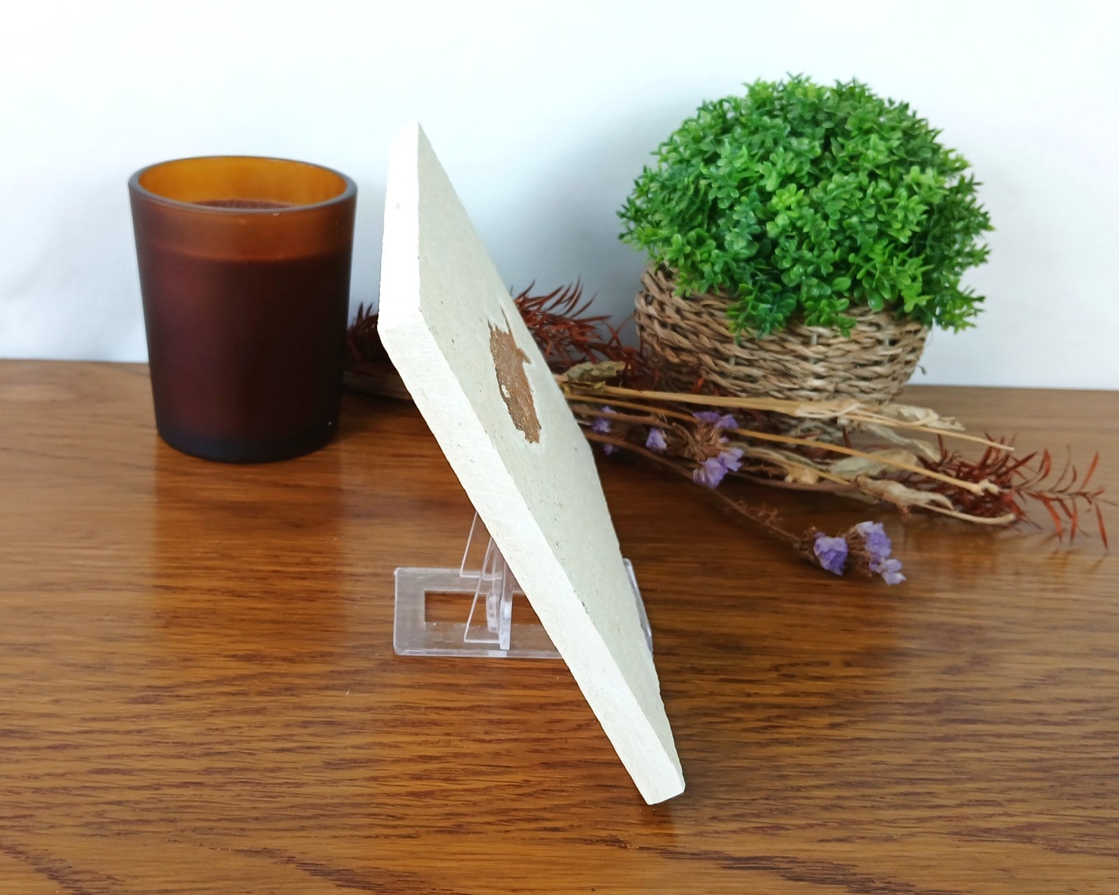 100% Genuine Knightia Alta Fish Fossil USA 180 x 130 x 10mm with Stand