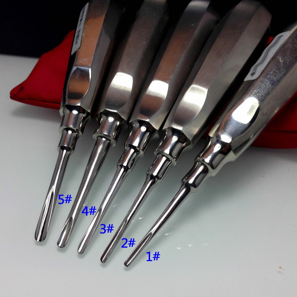 5 Pcs Dental Orthodontic Root Elevator Straight Extracting Luxating Apical Loose