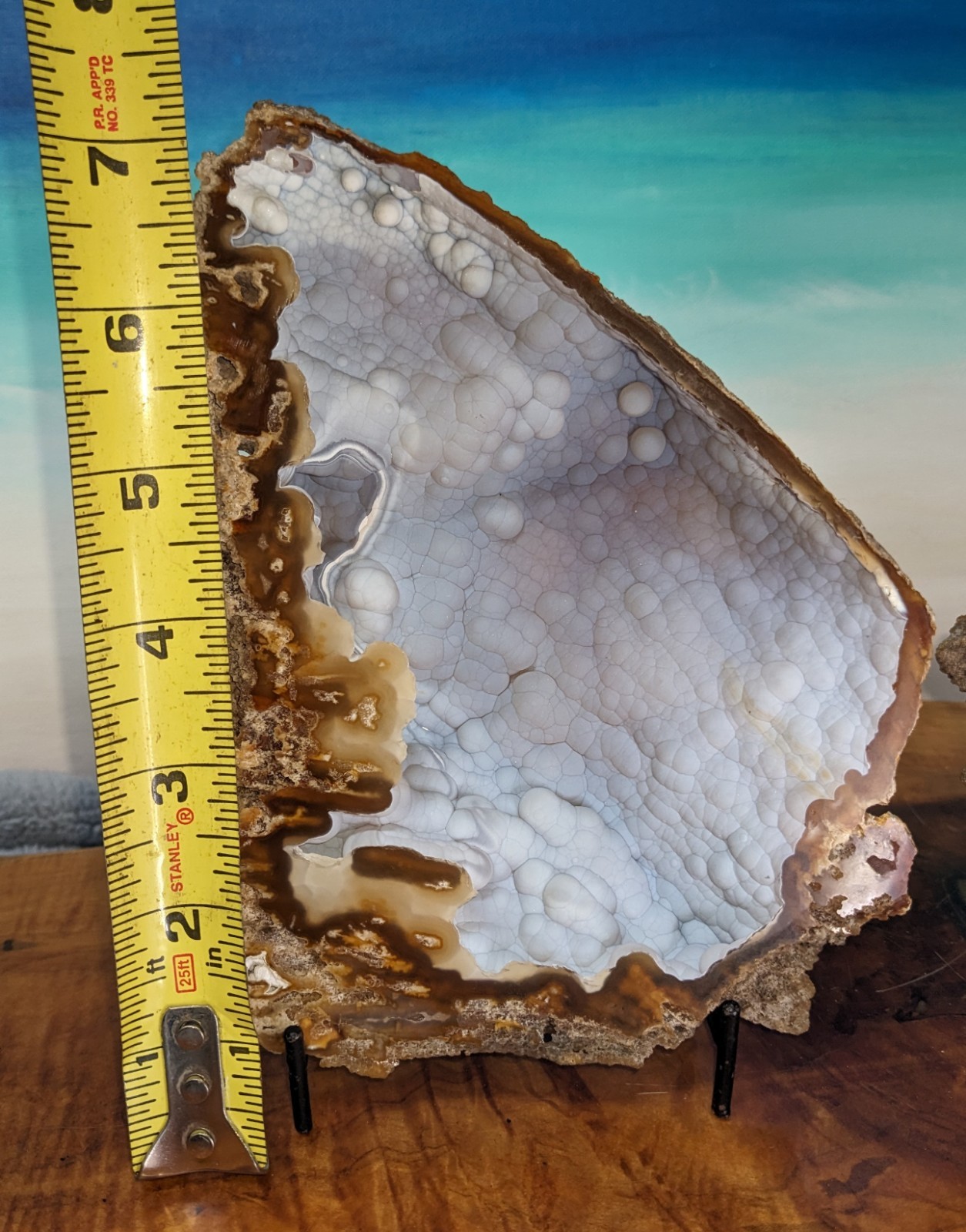 Agatized Coral Fossil Split Geode Botryoidal Blue/Violet Butterfly w/stands