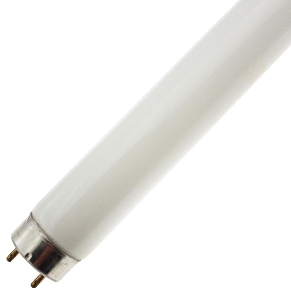 F15T8/BL LIGHT BULB