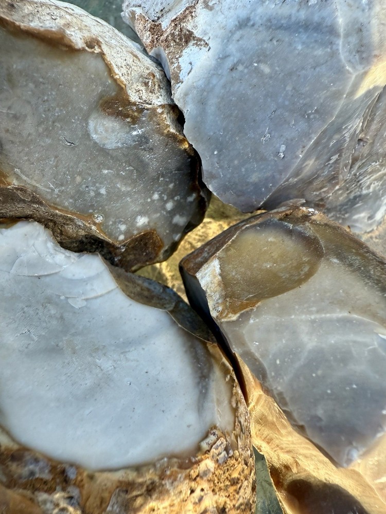 10Pc=18# HIGH QUALITY Central TX Comanche County Chert/Flint~for Flint Knapping