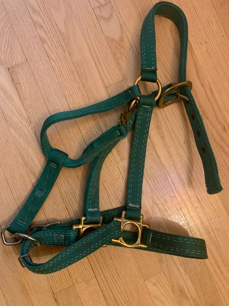 Green horse halter