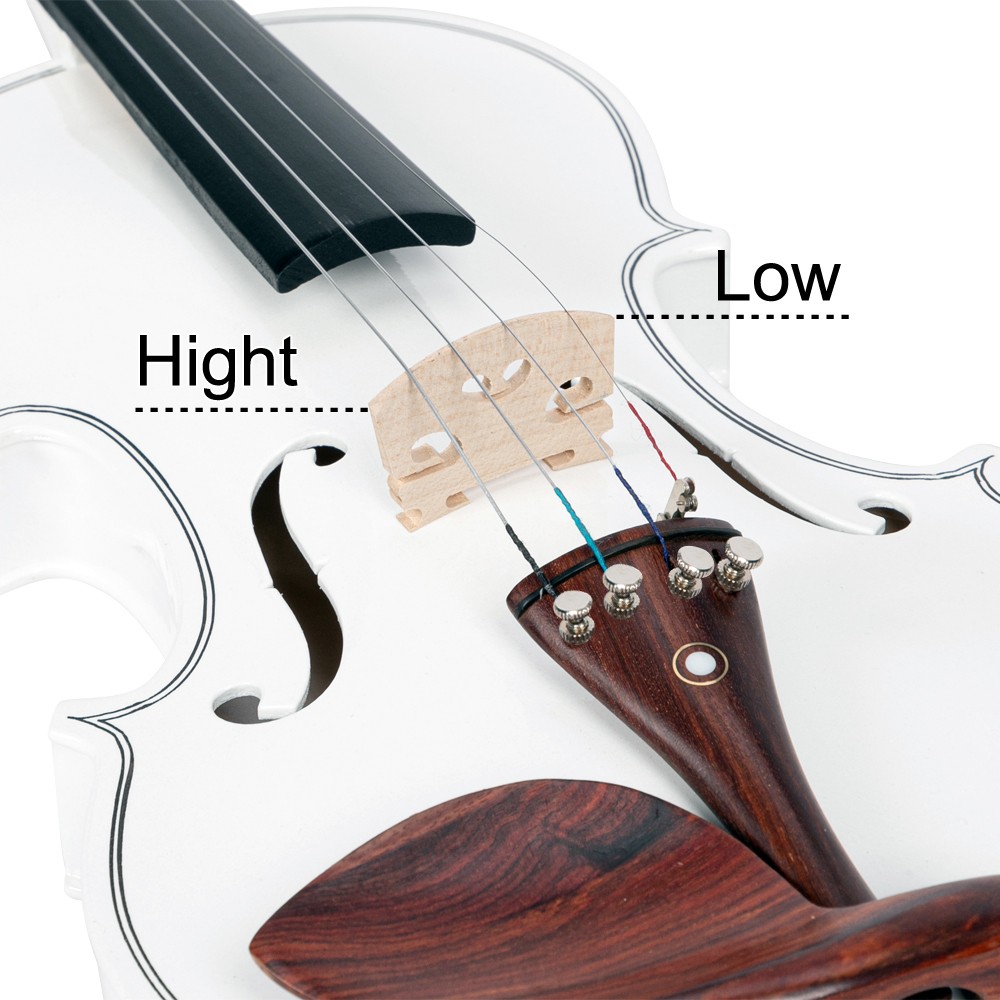 Beginner 4/4 Violin Set White Spruce Maple w/Accessories Professional