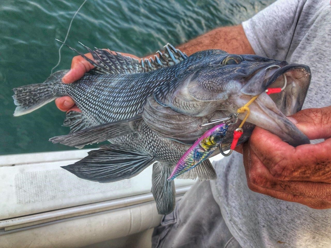 2 per Pkge: Slow Pitch Jig, Speed Jig, Fishing Jig, Fish Jig: 80g, 120g or 160g