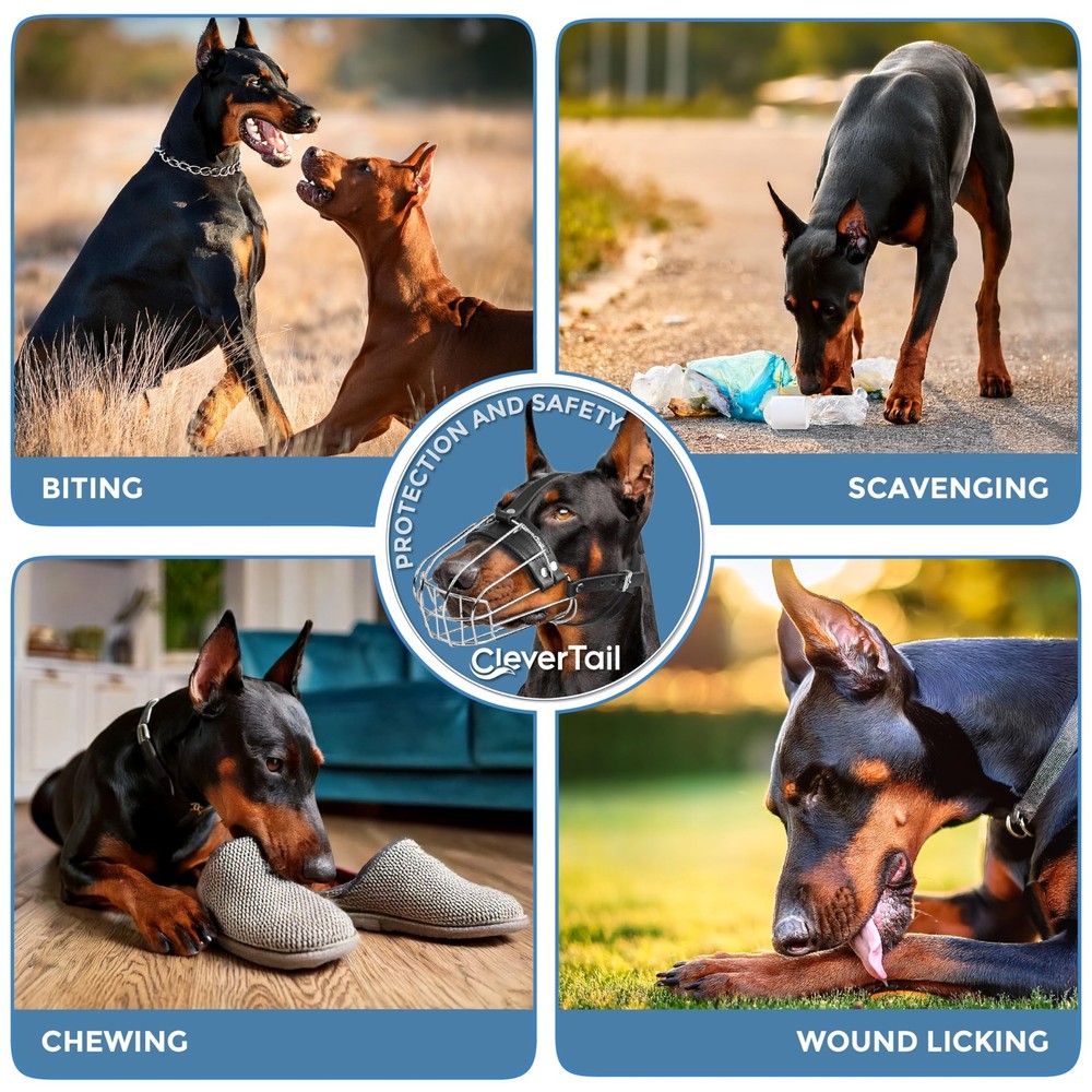 CleverTail Metal Doberman Muzzle for Large Large, Silver Wire & Black Straps