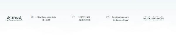 Premium Wordpress Elementor Template Kit Bundle | Business & Service Theme