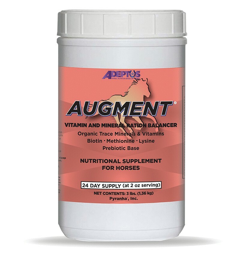 Adeptus Augment Vitamin & Mineral Balancer
