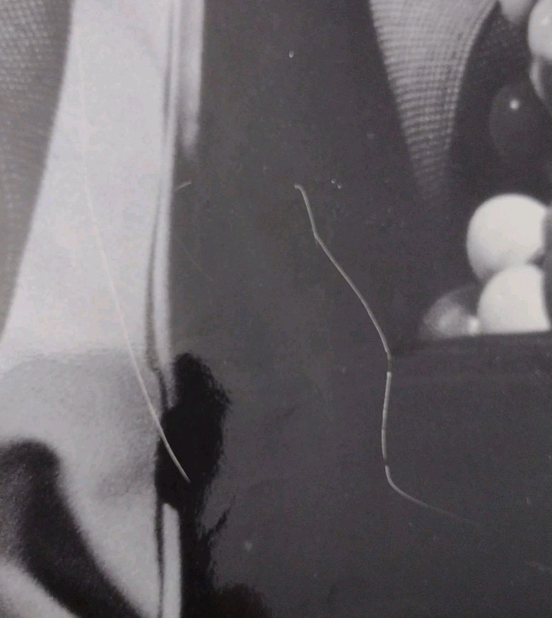 Apple Think Different James Dewey Watson Ad Poster