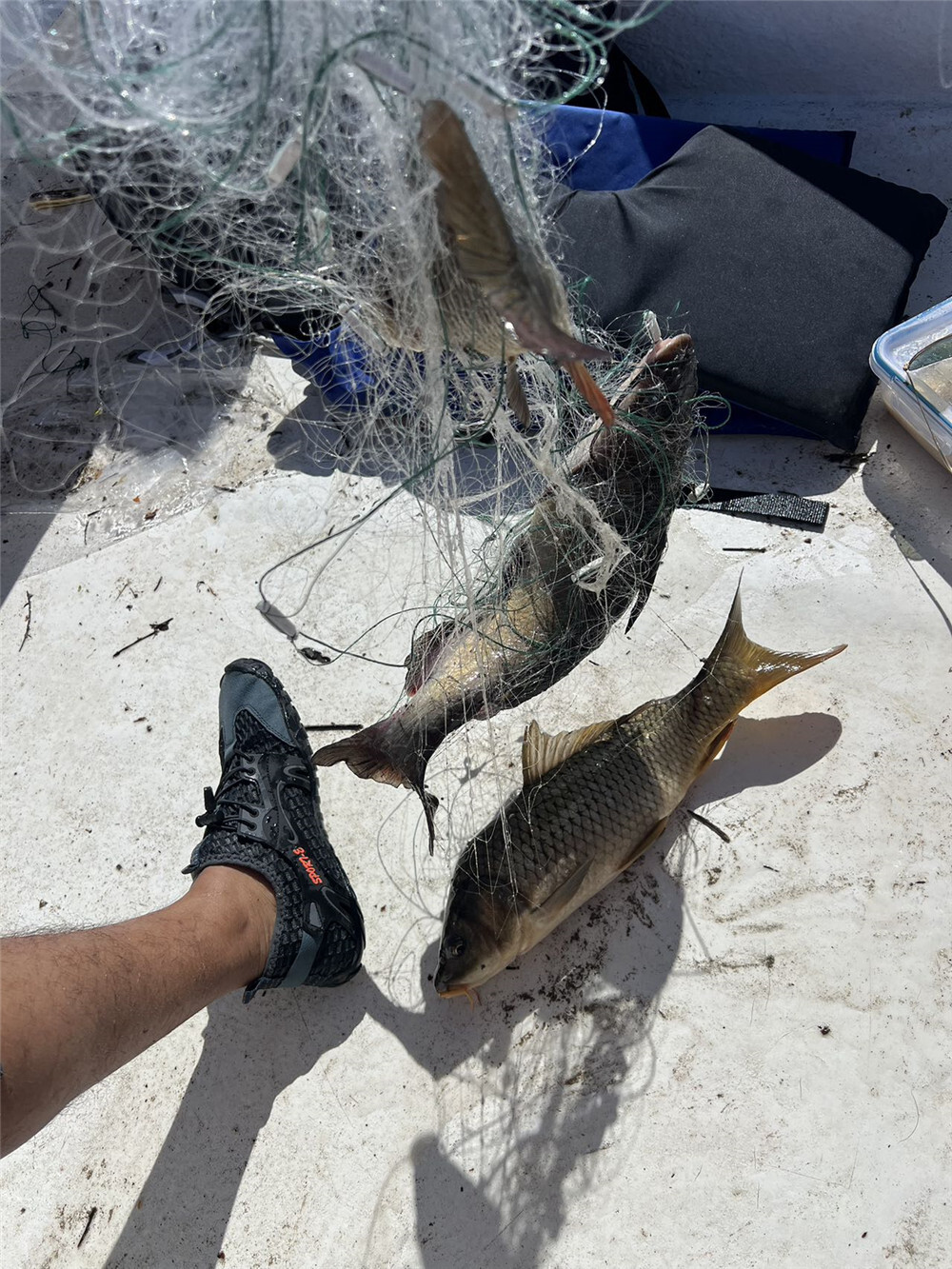 5‘X164' Finished Trammel Fishing Net, 3 Layers Gill Net, Seine Net for 30LB Fish