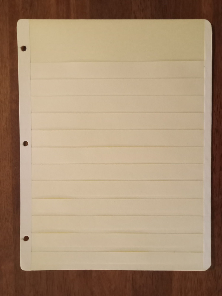 30 MANILA STAMP STOCK PAGES - 3 RING/ 12 ROWS - PREOWNED BUT EXCELLENT CONDITION