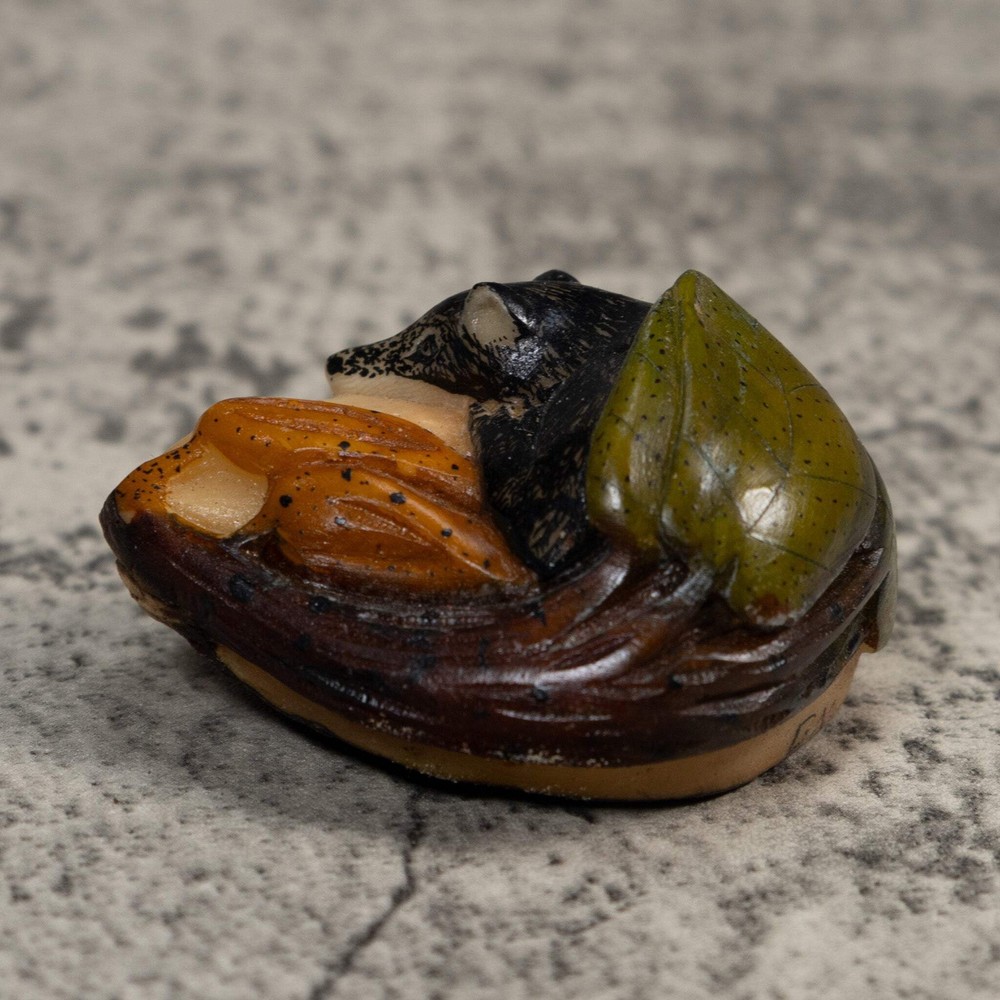 Rainforest Coatimundi Tagua Carving