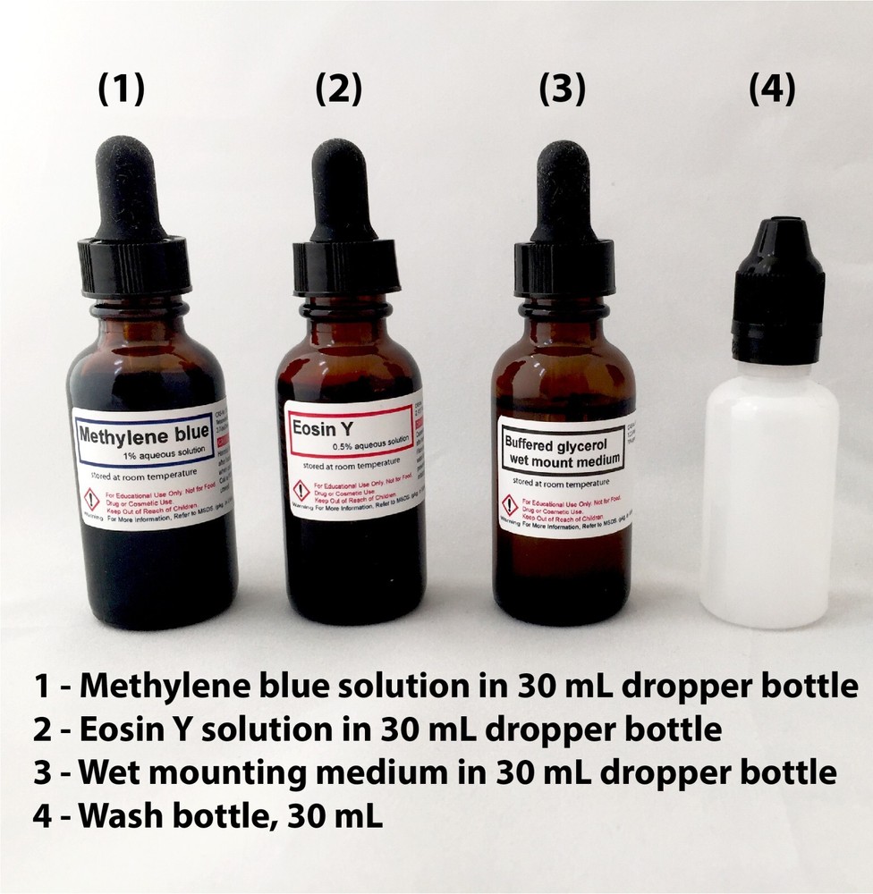 Microscope Slide Accessory Kit - Premium Set to Make Your Slides