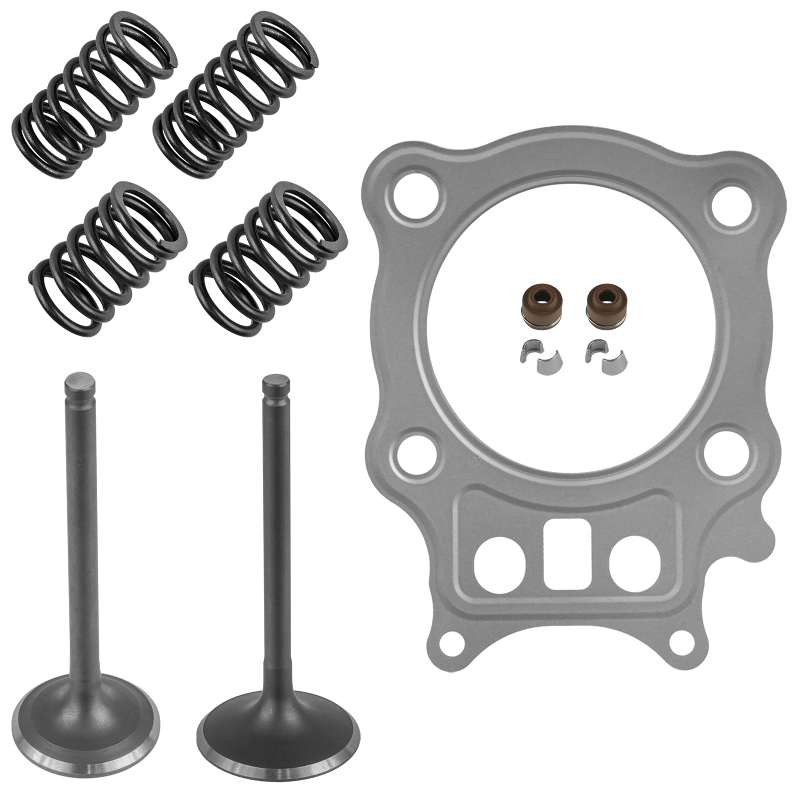 Intake And Exhaust Valve kit W/Gasket For Honda Rancher 350 TRX350TM  2000-2006