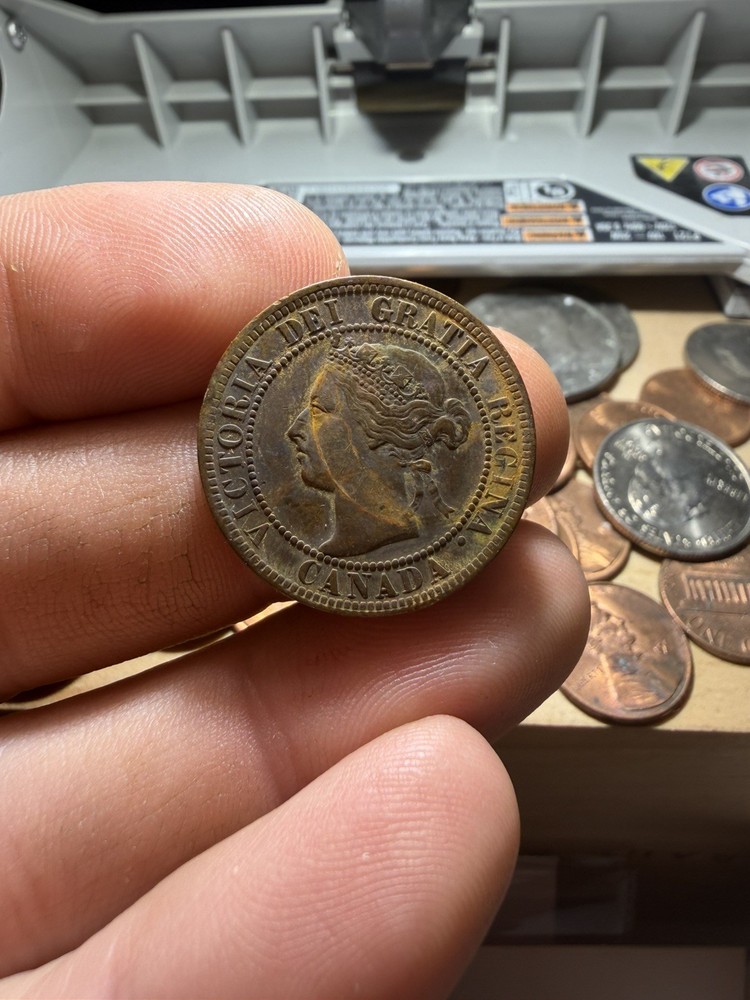 Canada Large Cent Lot