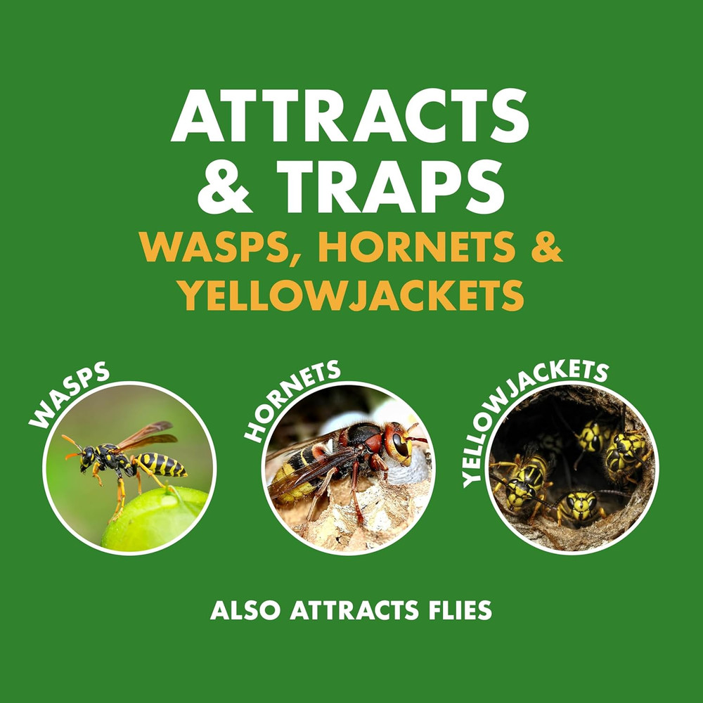 Wasp Hornet Yellowjacket Trap for Quick-Drown Insect Control