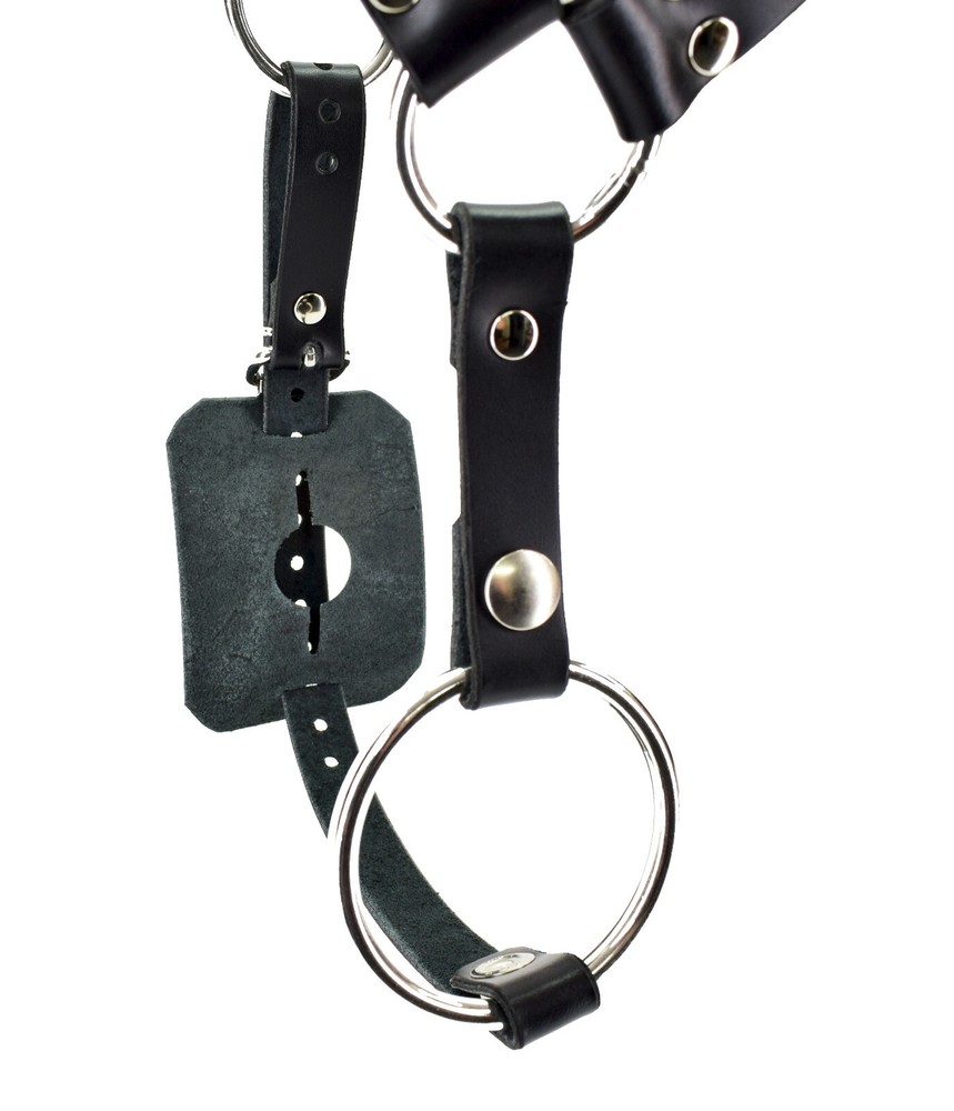Buttplug Harness by Axovus