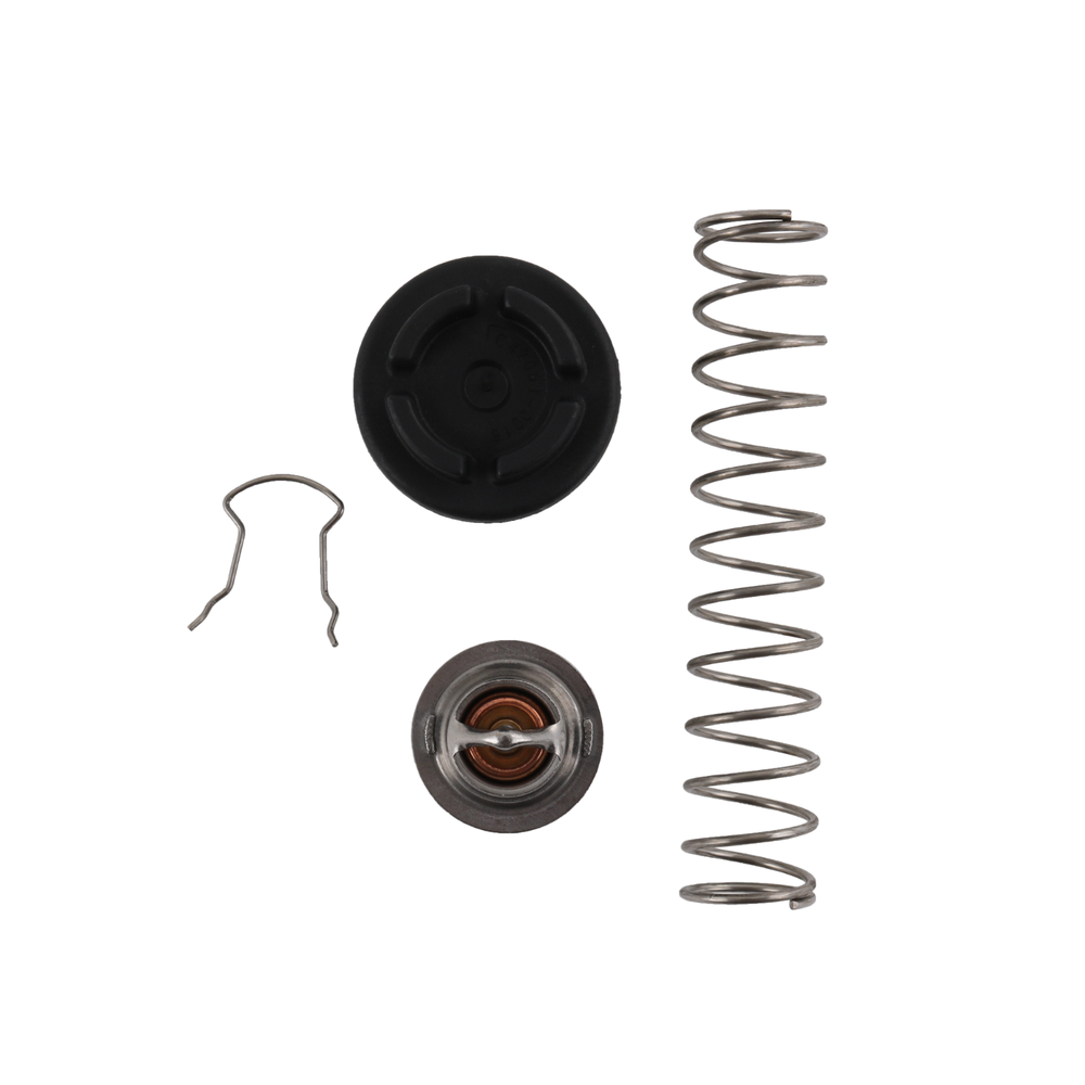 Thermal Regulator Kit 77707-0010 For Pentair Sta-Rite Max-E-Therm Heaters