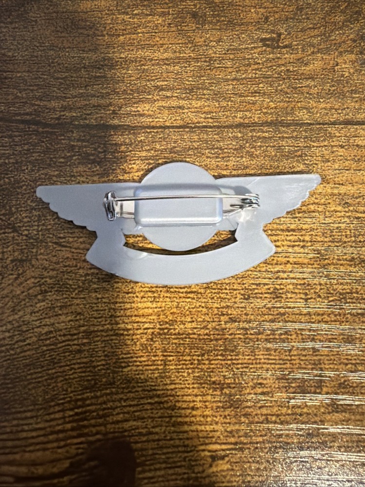Vintage Frontier Airlines Pilot Wing Pin
