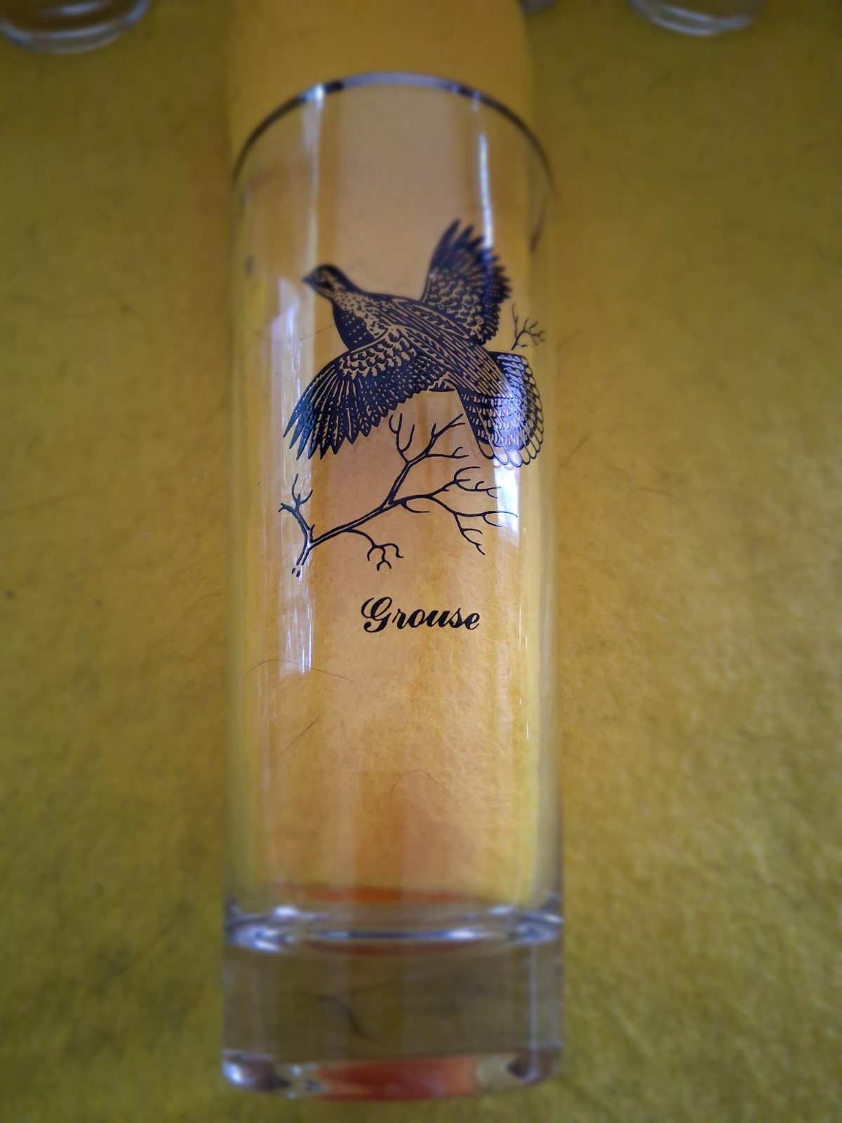 VINTAGE WATERFOWL GAME BIRDS SET OF 7 SILVER RIMMED BARWARE 7" GLASS TUMBLERS