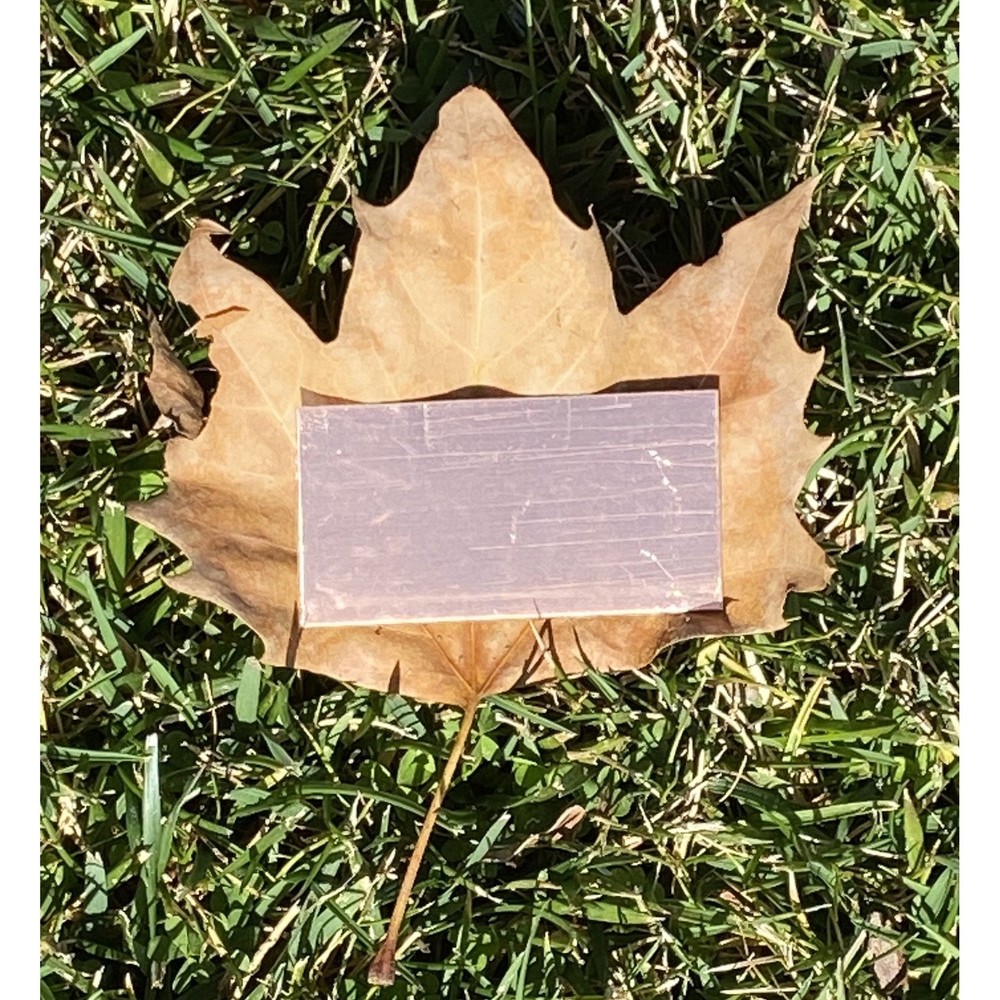 Rectangular Copper Stamping Blanks 1.25 "x 2.5" (Pack of 10)