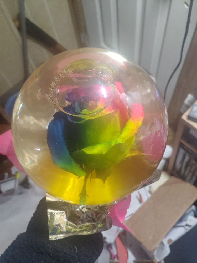 Rainbow Enchanted Rose Globe