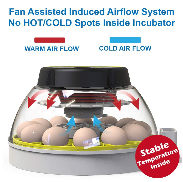 12 Egg Incubator with Humidity Display, Egg Candler, Automatic Egg Turner